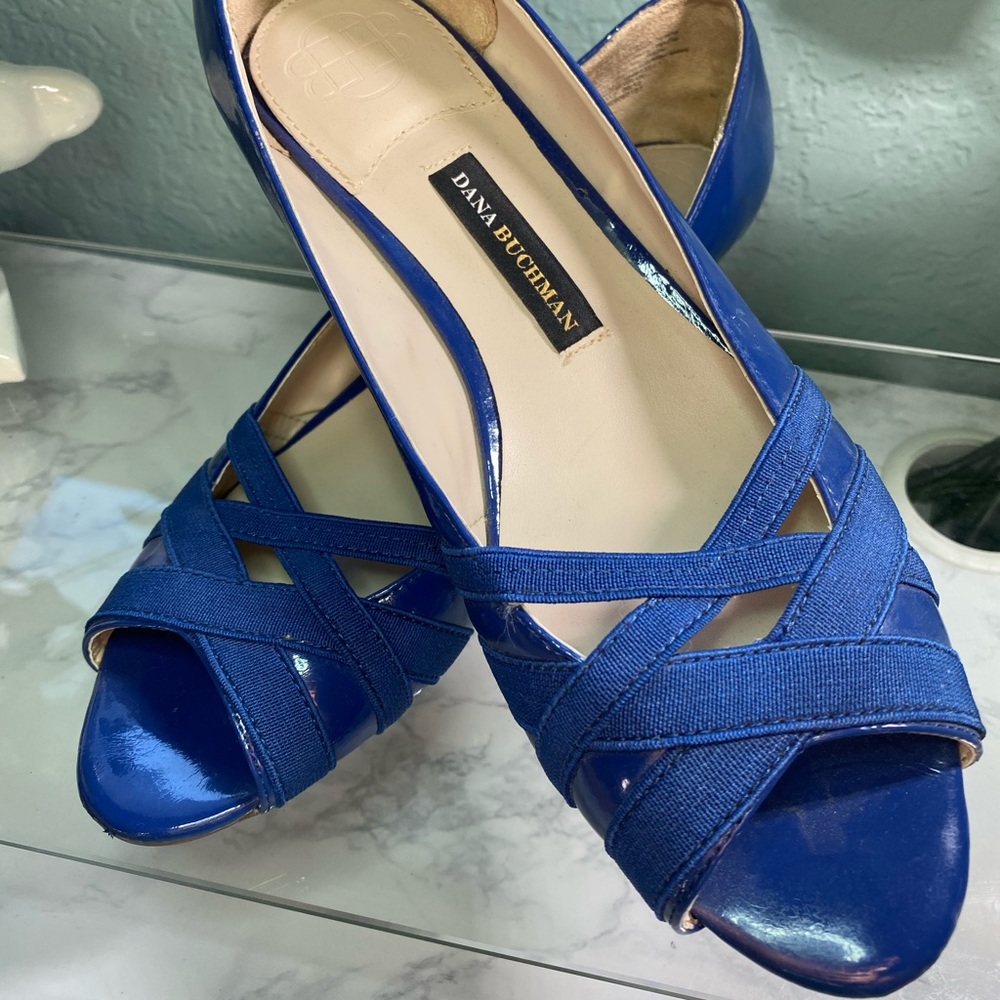Dana Buchman Blue Wedges